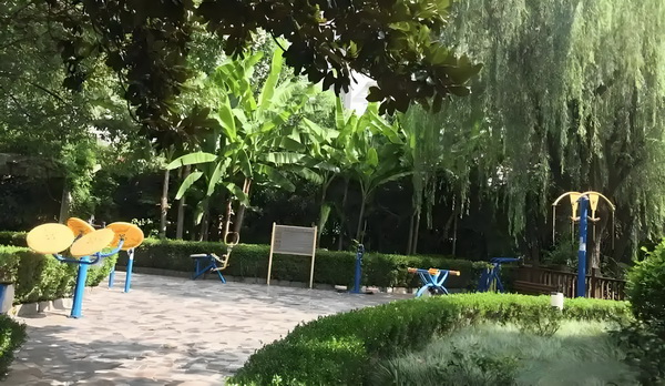 《扫毒风暴》大结局王奇令人失望！林强峰的牺牲，与她有隐秘关联